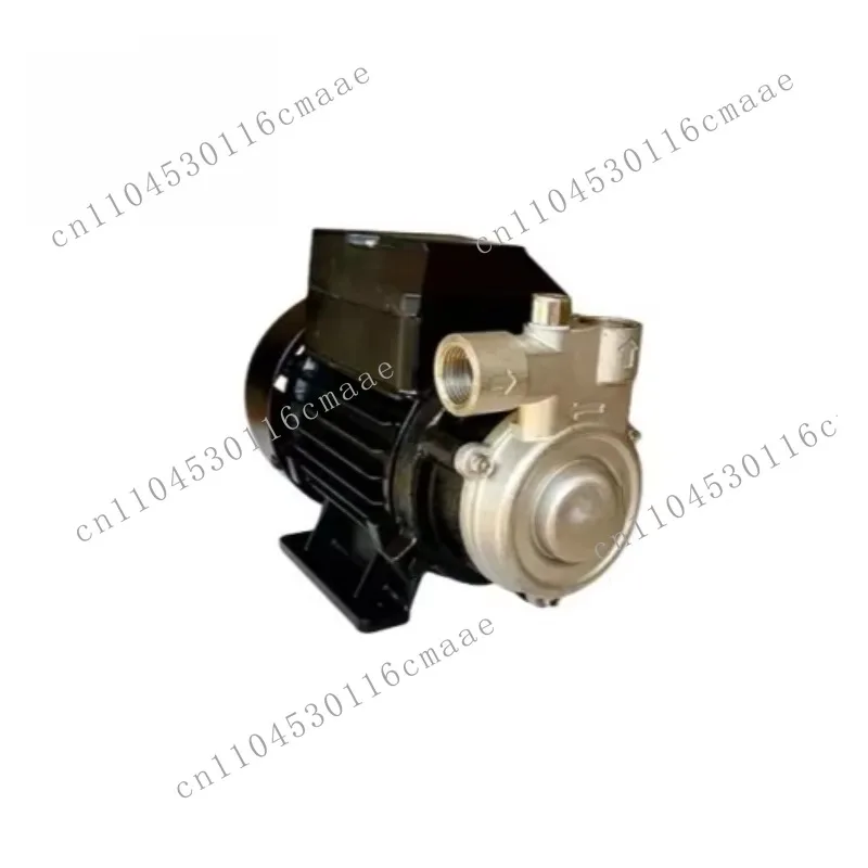 New original genuine 15TDB-30 small steam generator water supply pump single stage vortex pump