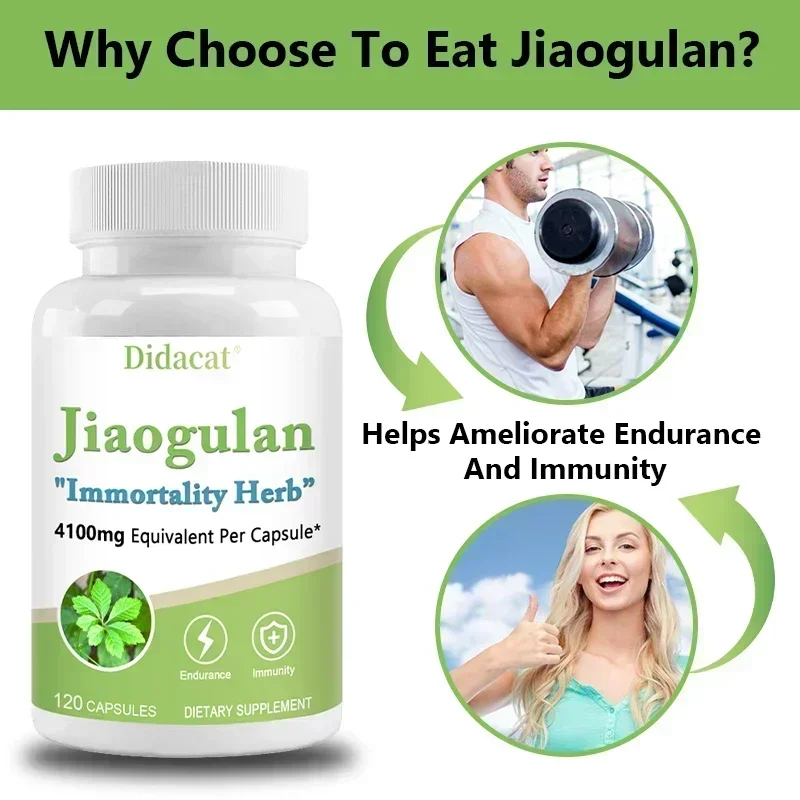 Jiaogulan 4100 Mg 120 Vegetarian Capsules (Non-GMO & Gluten-Free) Jiaogulan - Endurance and Stamina, Immune System Health