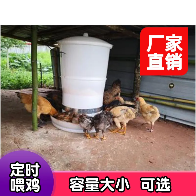 Automatic chicken feeding device for raising chickens,pigeon timing feeding device, small household feeding electric device