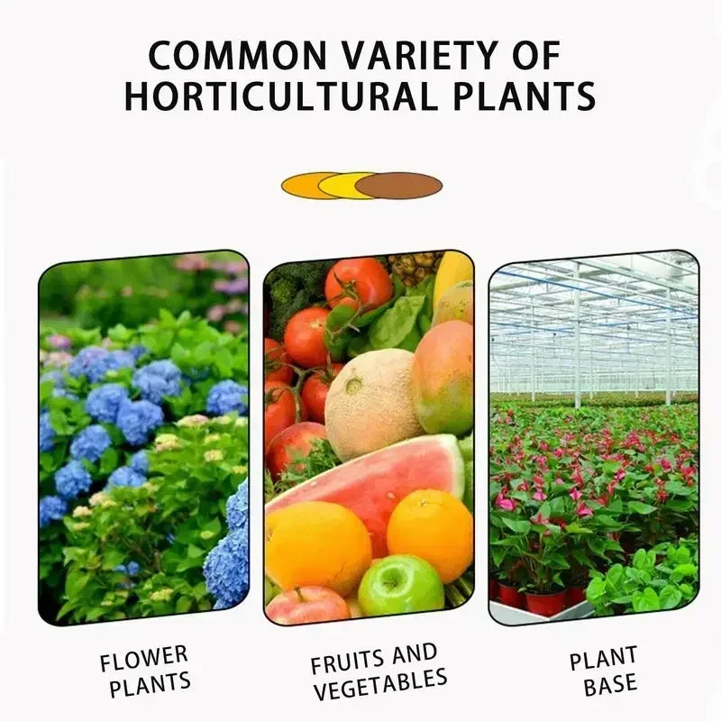 Fast Rooting Stimulator Plant Rapid Fertilizer Agent Root Stimulator for Plants Supplement Houseplant Garden Potting Supplies