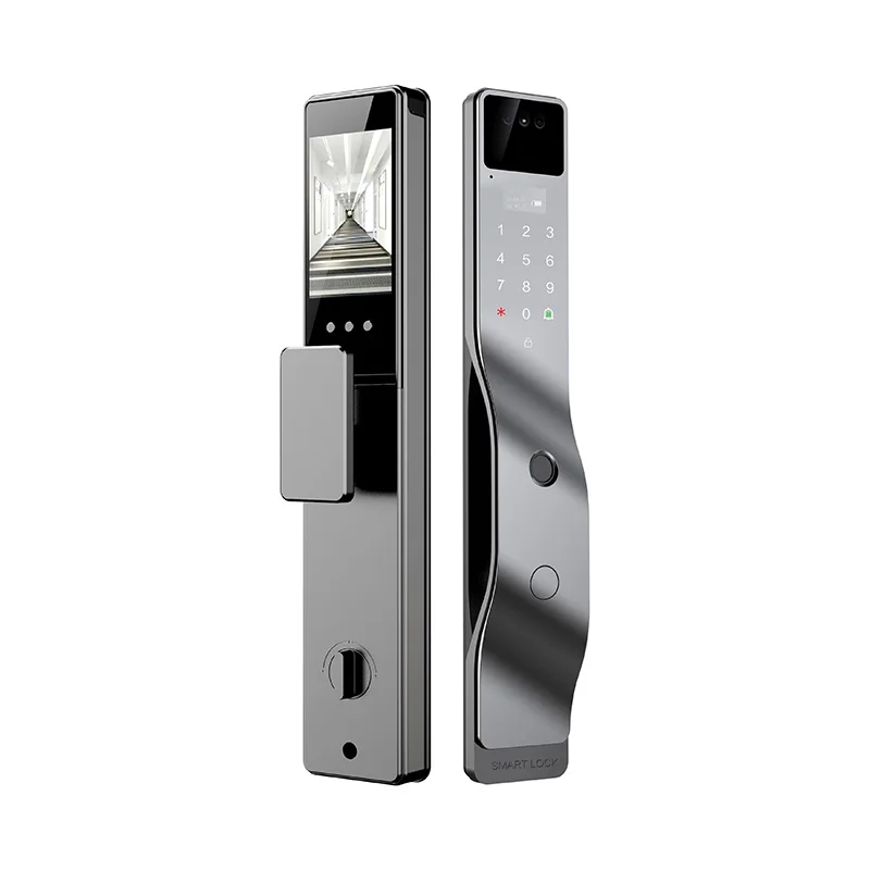 Graffiti WiFi Cloud Smart Door Lock Face Fingerprint Password IC Card Key App Unlock Active Intercom Wooden Door
