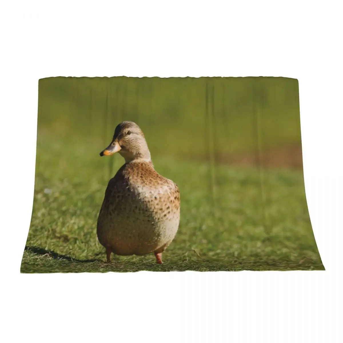 

Look how beautiful I am Throw Blanket Softest heavy to sleep Luxury Thicken Blankets