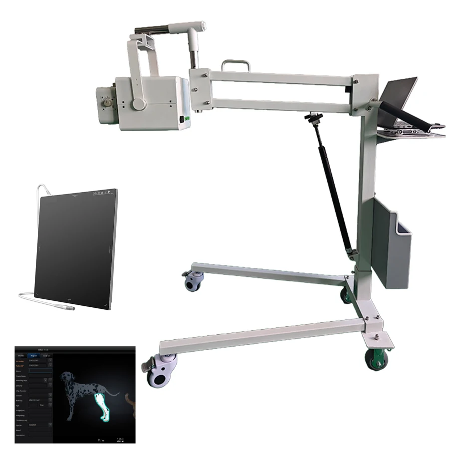 Portable Mobile X Ray Machine DR With All In One Head And Flat Panel Detector And Veterinary Software