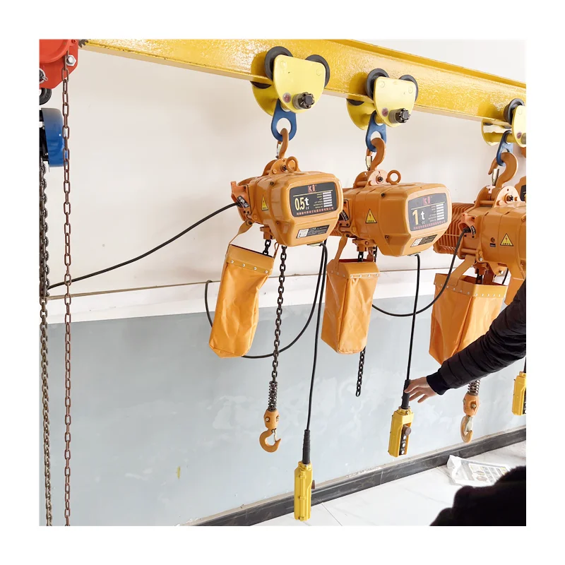 electrical hoist crane 500 kg 1000 kg 2000 kg for crane factory