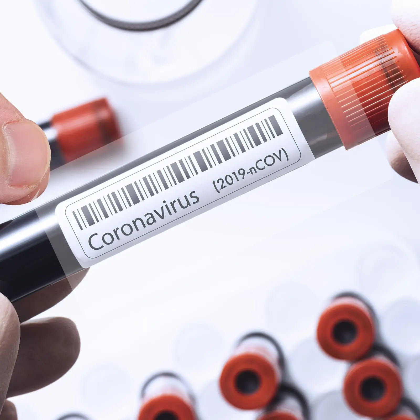 500 Pcs Barcode Label Protective Film Clear PVC Cover Protectors Library Books Waterproof Stain Resistant Labels Stickers Folder