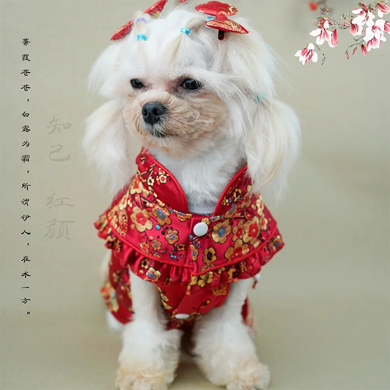 Pet New Year Clothing, Chinese New Year Celebration Lucky Bag, Tang Dynasty Qipao, Small and Medium sized Dog Teddy