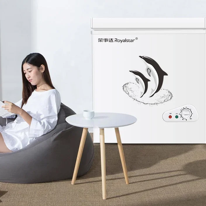 Huishoudelijke Kleine Vriezer Koelkast Energiebesparing 58 / 86l Vriezer Krachtige Energiebesparing En Verse Houden