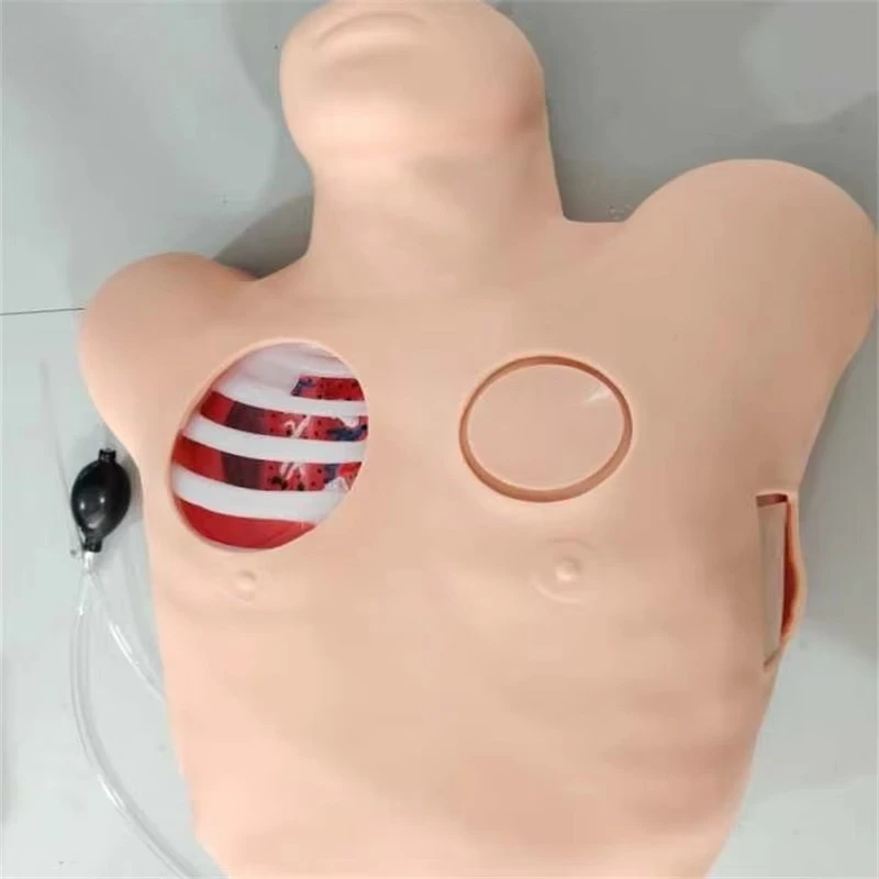 

Peritoneal Dialysis Model for Medical Science