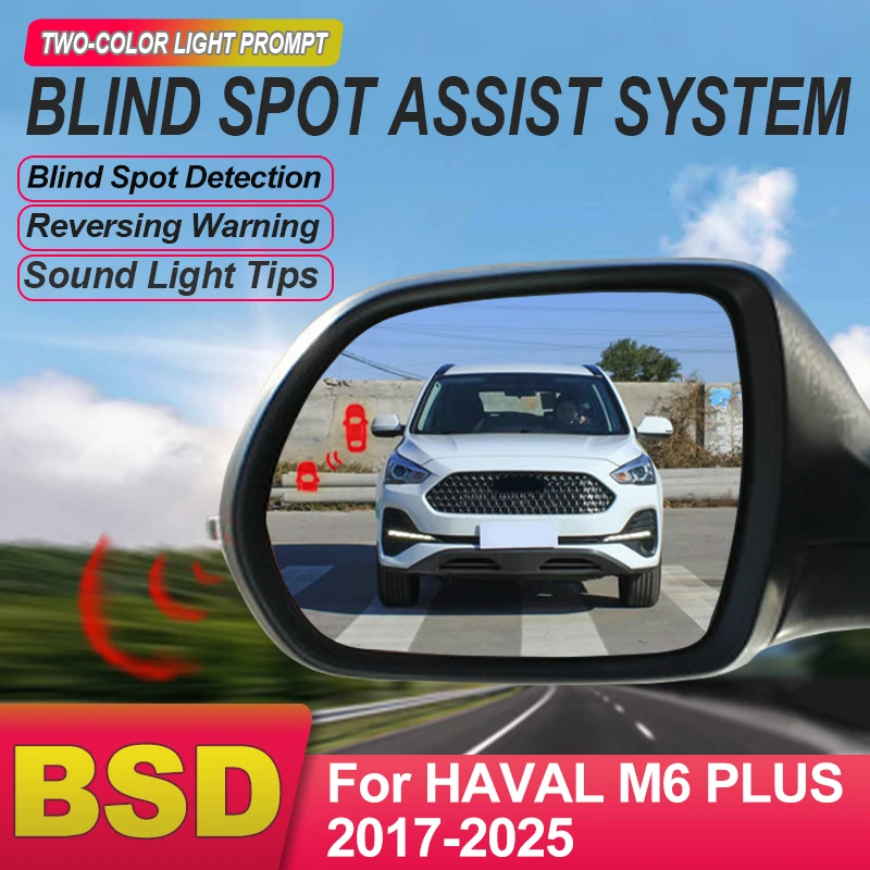 Car Alarm Blind Spo…