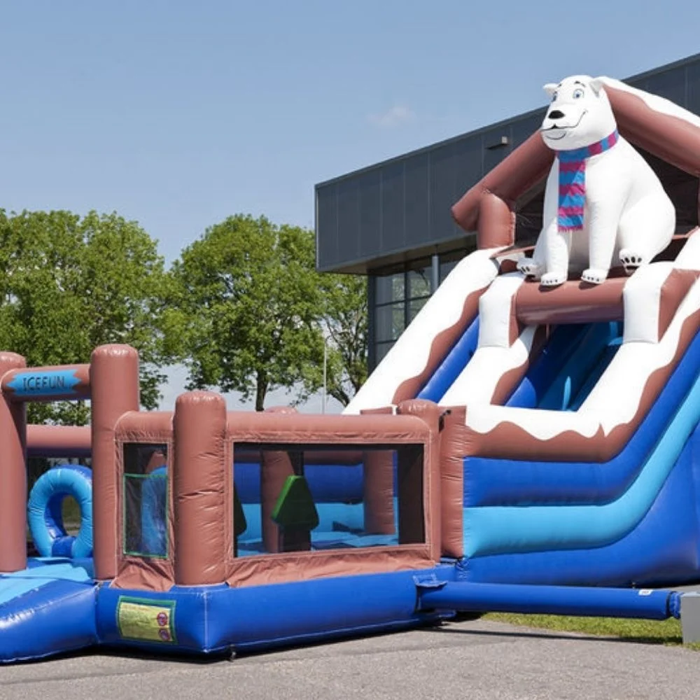 

Factory Price High Quality Pvc Outdoor Backyard Indoor Commercial Rental Water Slide Dog For Children And Adults