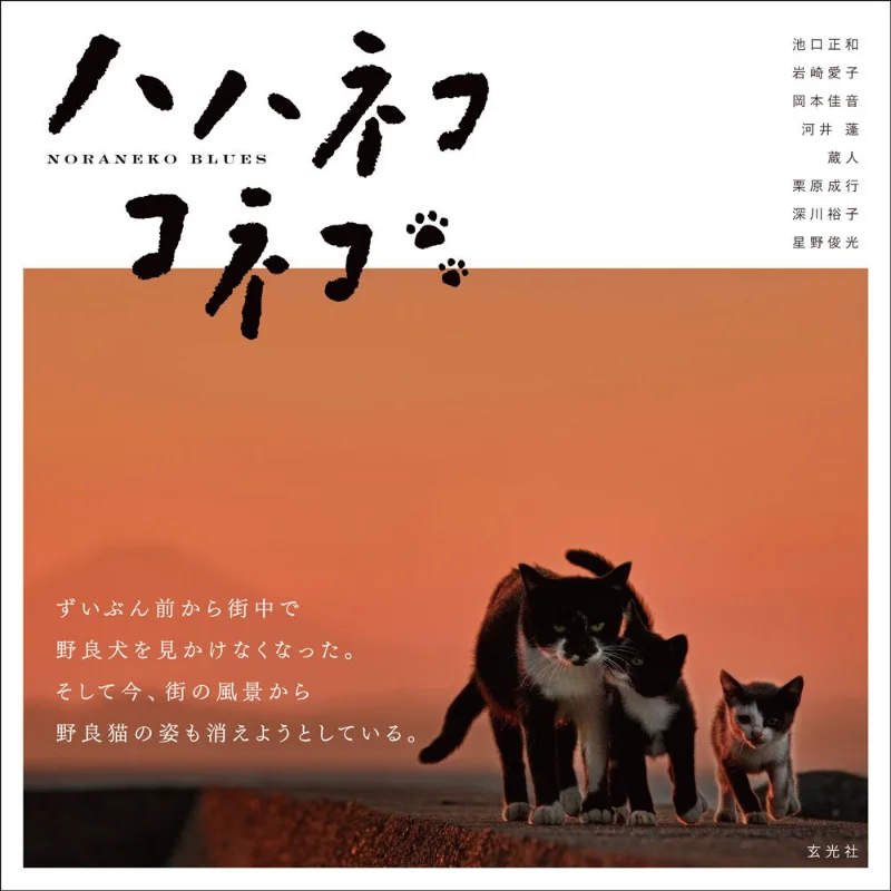 

Haneko Koneko Masako Ikeguchi Aiko Iwasaki Xuan Guang Society 9784768307946 Book