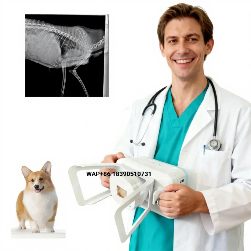 Medical Handheld X-ray Machine Touch Screen Veterinary Radiation System 90KV 10MA Portable Digital Veterinary X-ray Machine