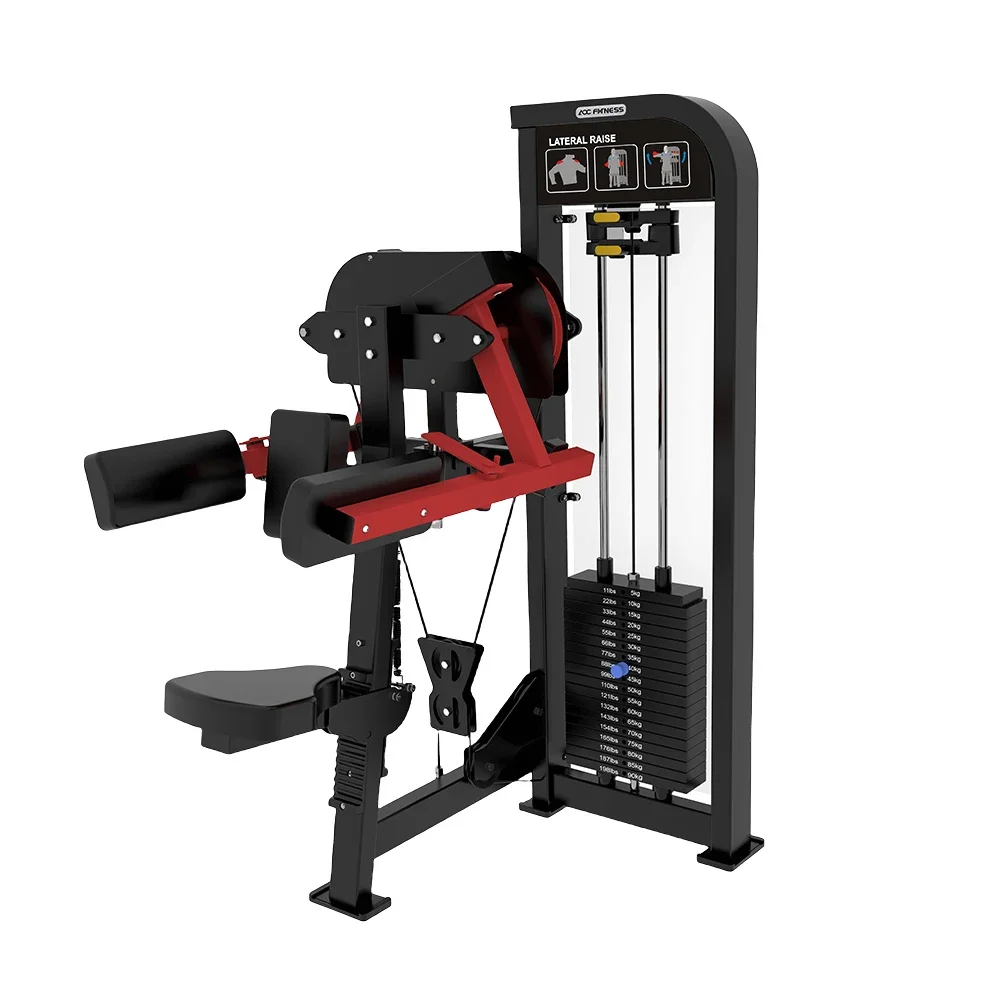 Manufacturer Direct Sale Customized Logo Strength Training Machine Fitness Equipment Lateral Raise