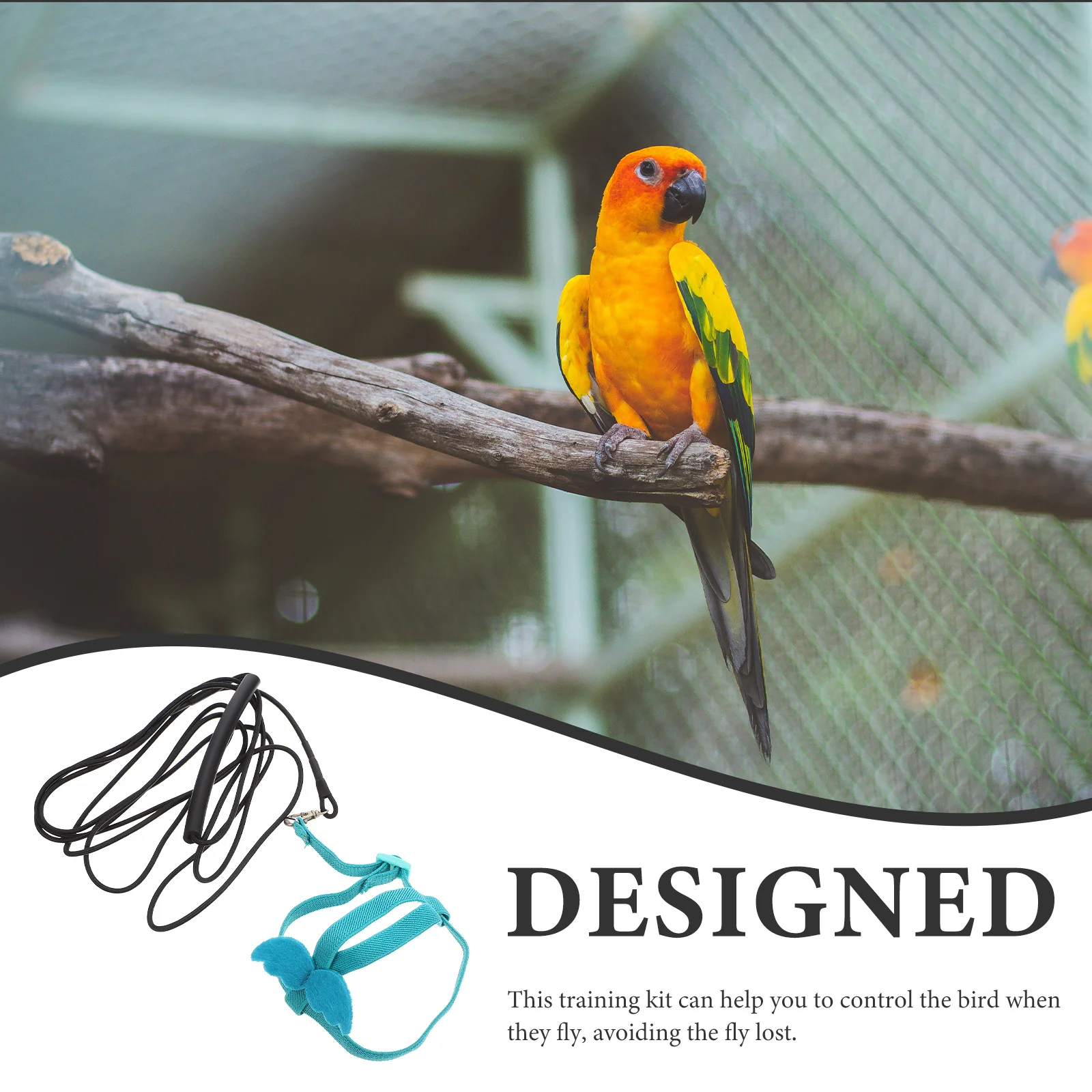

Parrot Harness Adjustable Wear-Resistant Portable Flight Training Leash Cartoon Wings Convenient Bird Supply Bird Harness