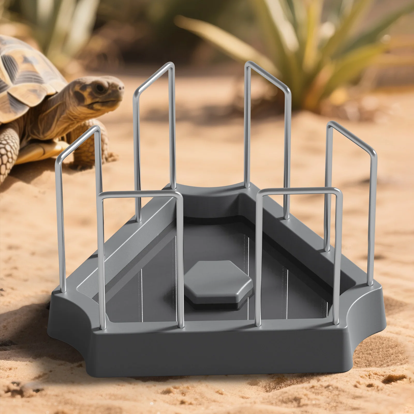 Land Turtle Feeding Basin, Fence Design to Prevent Trampling and Competition, Turtle Feeding Basin, Water Basin