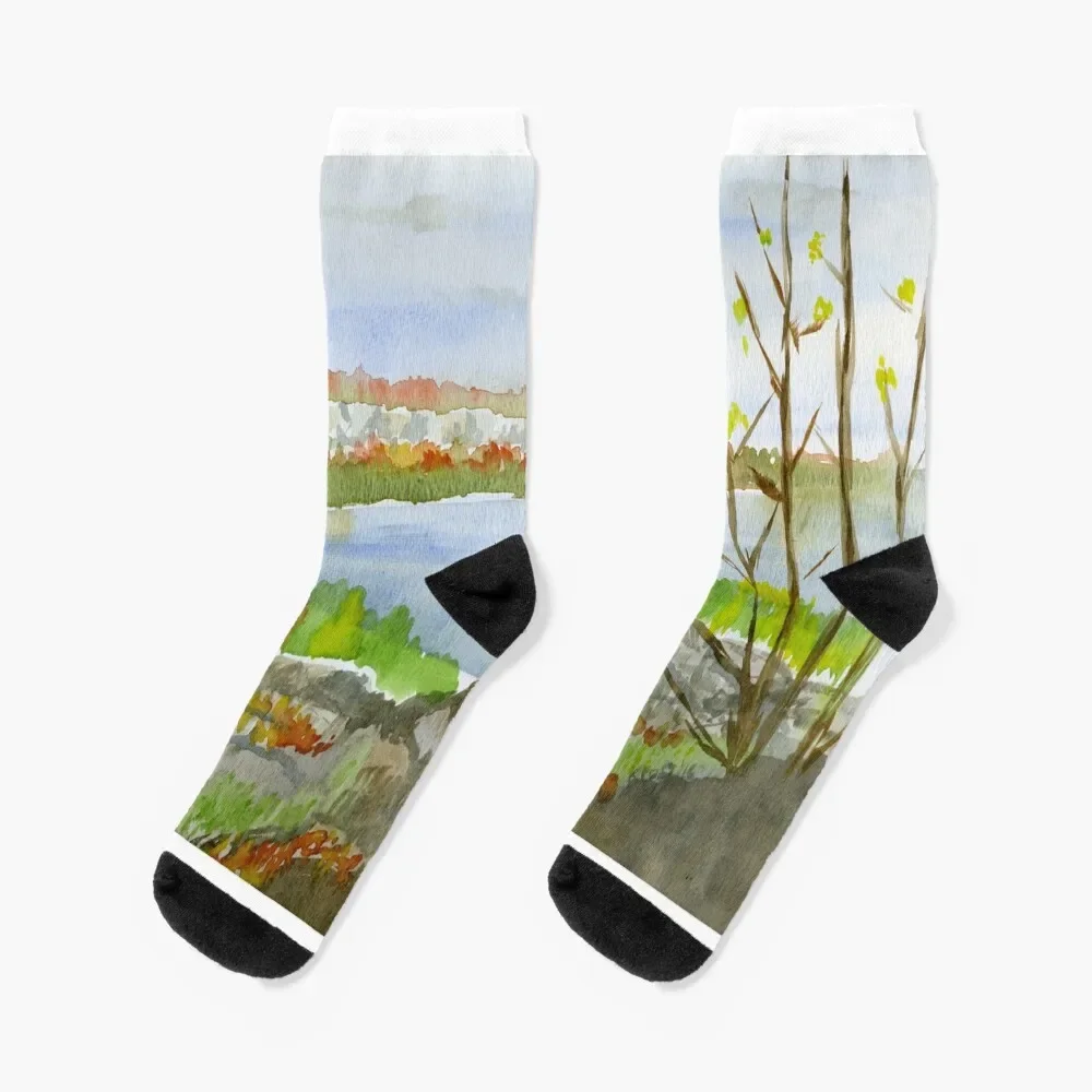 

Colpoy's Bay From Skinners Bluff Socks custom sports designer sports stockings Boy Child Socks Women's