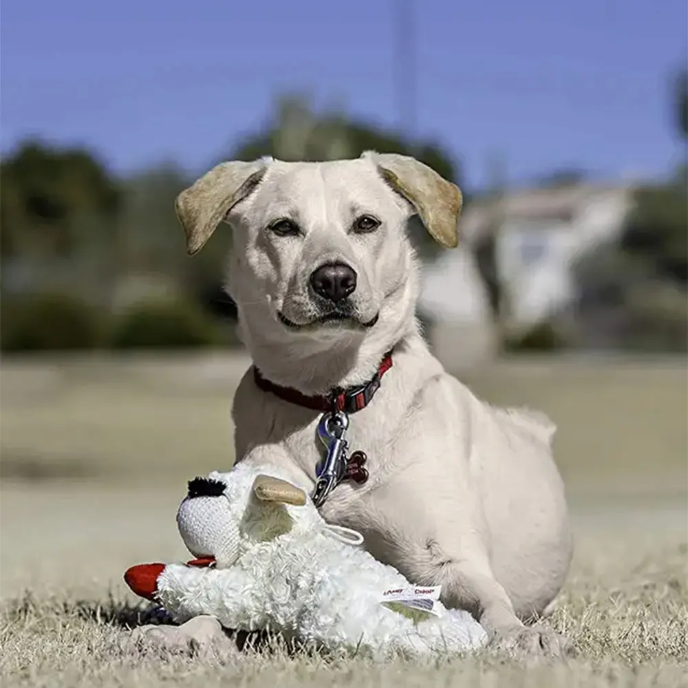 Lambchop Plush Dog Toy with Squeaker, Big, Medium, Small Dogs