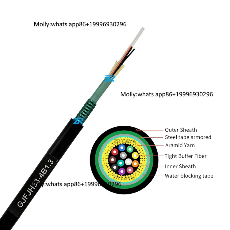 Indoor 2 4 6 8 12 16 24 Core OS2 OM2 OM3 OM4 SM Single Mode Distribution Fiber Cable GJFJH53 Armored G657a2 Fiber Optical Cable