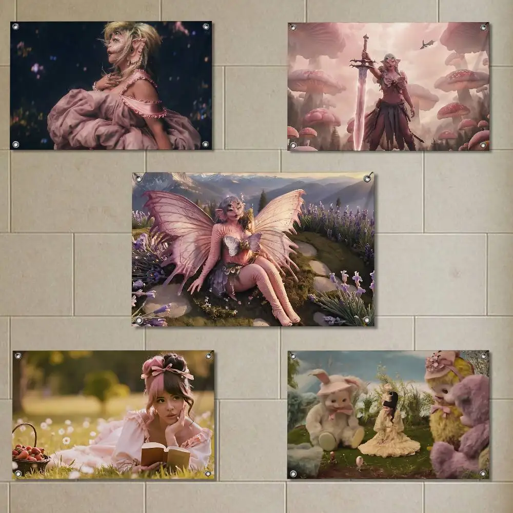 

POSSESSION Melanie Martinez Flags for party living room camping bedroom carnival booth interior decorations