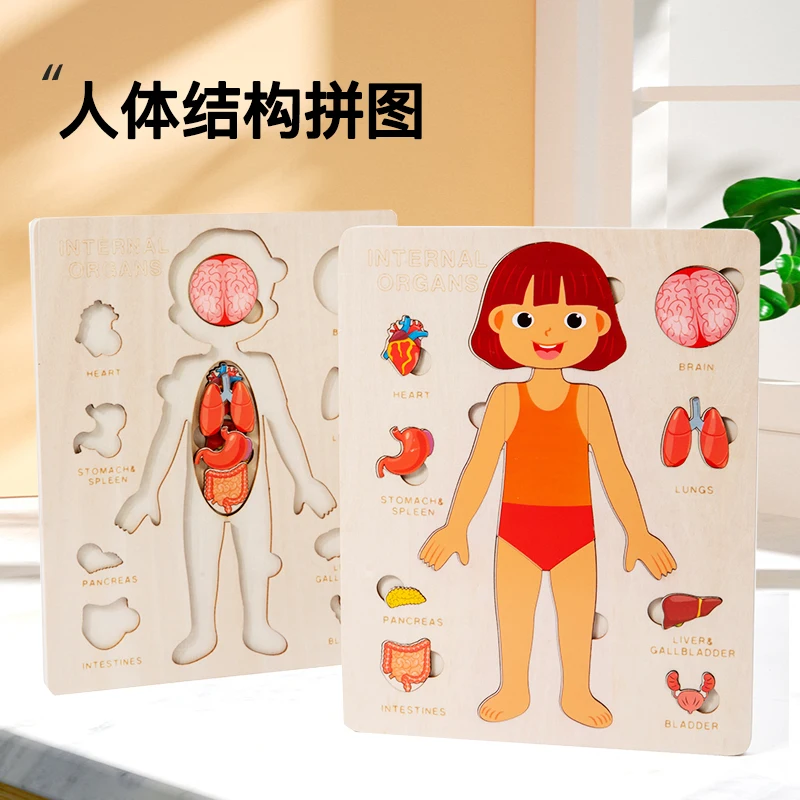 Giocattoli Montessori in legno per bambini organi del corpo umano puzzle giocattolo educativo asilo prescolare apprendimento precoce del bambino ragazzi ragazze Unisex