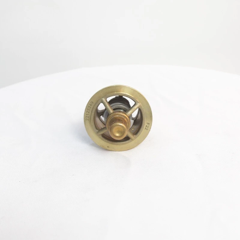 

Screw Air Compressor Accessories Temperature Control Valve Core 22125249