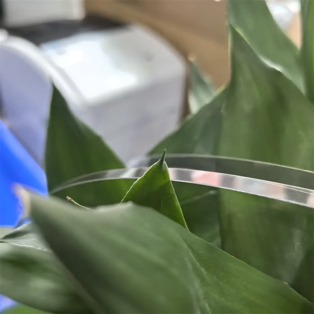 

1PC 1409999 SCALE CR Encoder Strip for EPSON L800 L801 L805 L810 L850 R260 R265 R270 R280 R285 R290 R295 R330 R360 R390 R825 P50