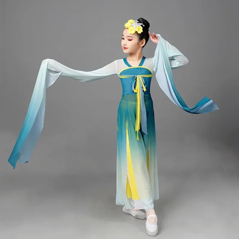 Chinese Folk Dance Classical Water Sleeve Performance Clothing Girls Traditional Yangko Dance Ancient National Fan Dance Outfit
