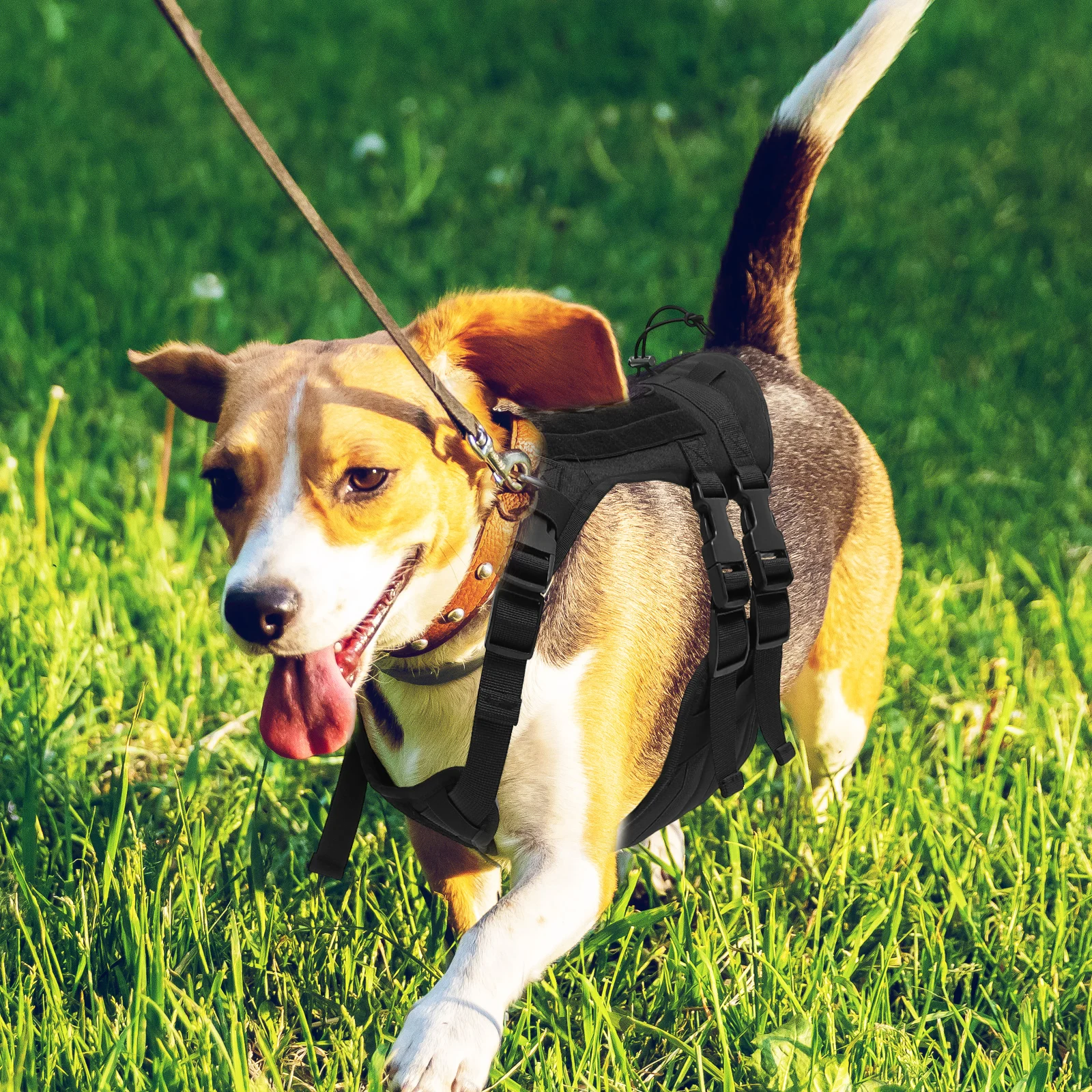 

Oxford Cloth Dog Harness Medium Large Wear-Resistant Easy Put on Off Household Vest Portable Dog Walking Training Harness Pet