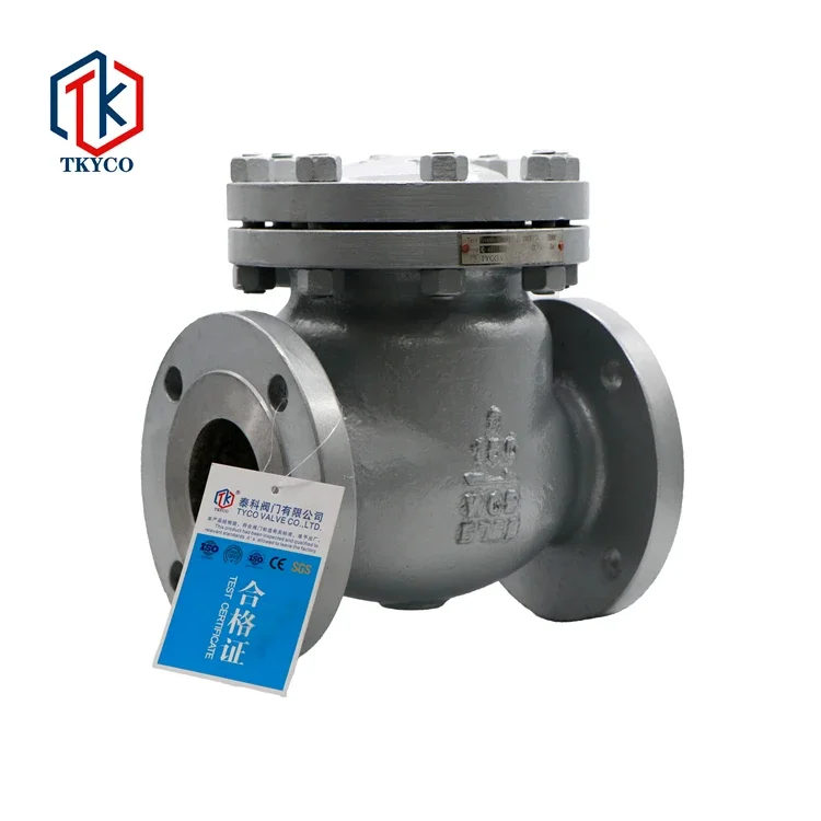 Water Wafer Check Valve Price DN50 ANSI Swing Check Valve Water Non Return Check Valve Price