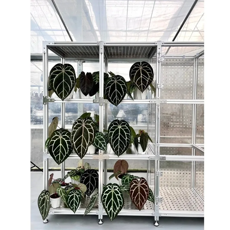 Minimalist modern flower shop potted plant display cabinet, aluminum profile flower rack