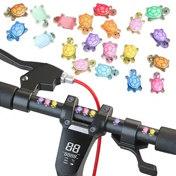 8 最佳銷售 海龜 - №6