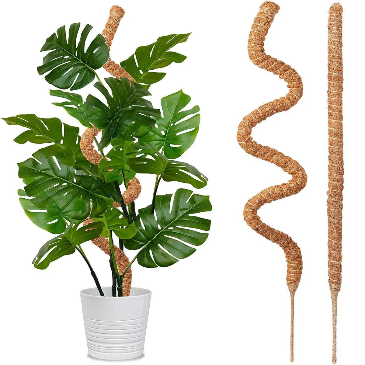 Garden Plants - Coconut Palm Pole for Indoor Plant Support, Flexible and Shapeable Coconut Palm Rod Plant Support Column