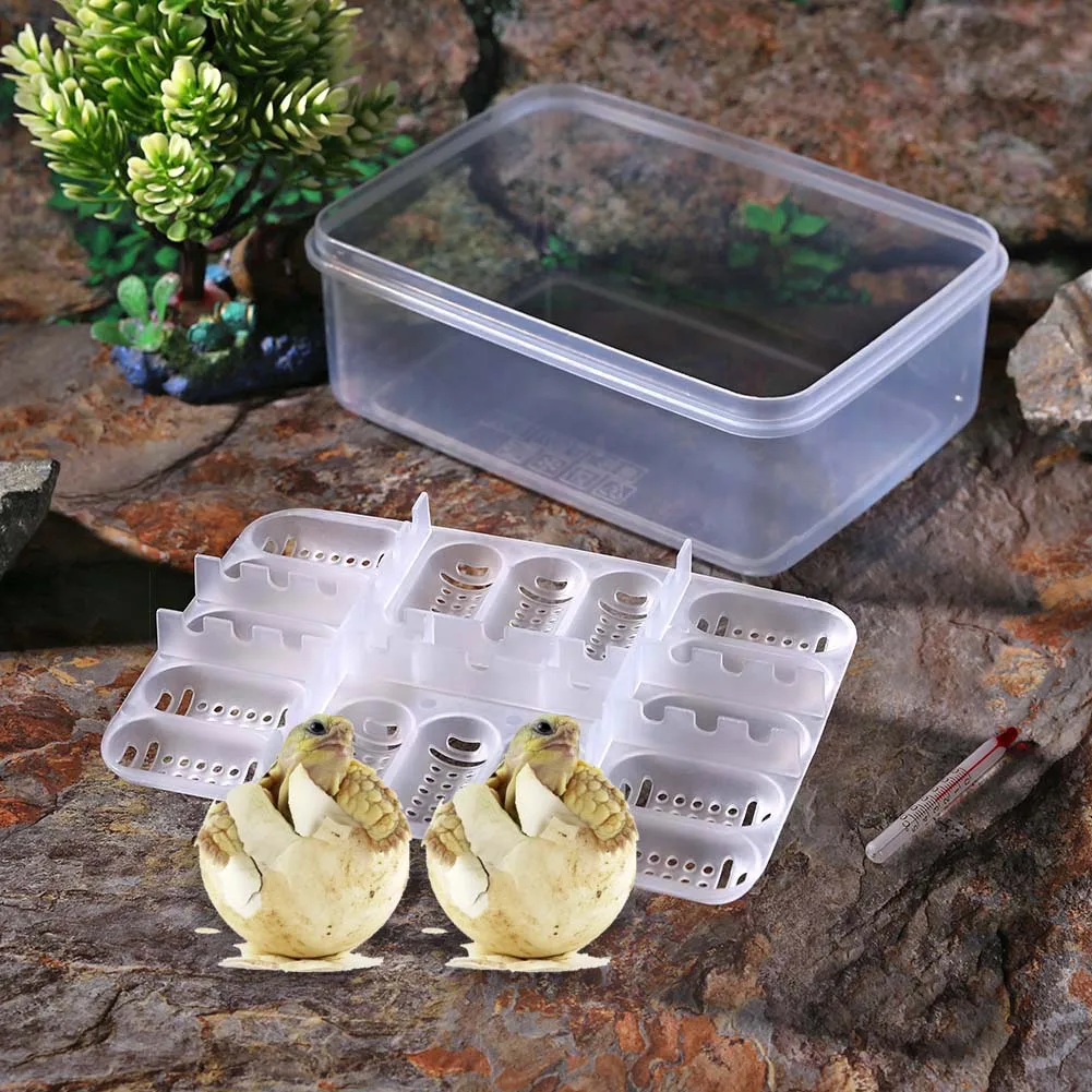 16 Grids Plastic Reptiles Egg Incubator Tray Eggs Hatcher Case for Lizard Snake