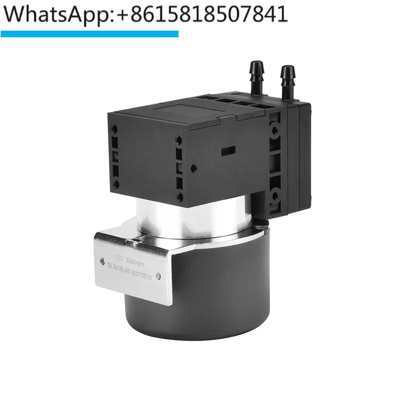 PENGPU Mini Diaphragm Inflation Sampling Small Air Pump Medical Rehabilitation Pump 12V Small Air Pump Oil free