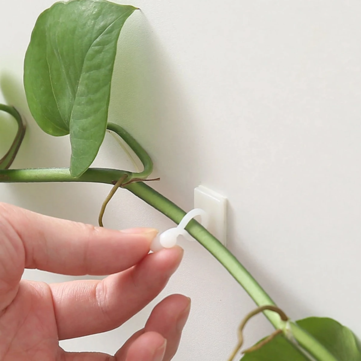 *10pcs-Home Garden Plant Climbing Wall Fixture Clips Rattan Vine Fixer Self-Adhesive Plant Climbing Wall Fixed Buckle Hook