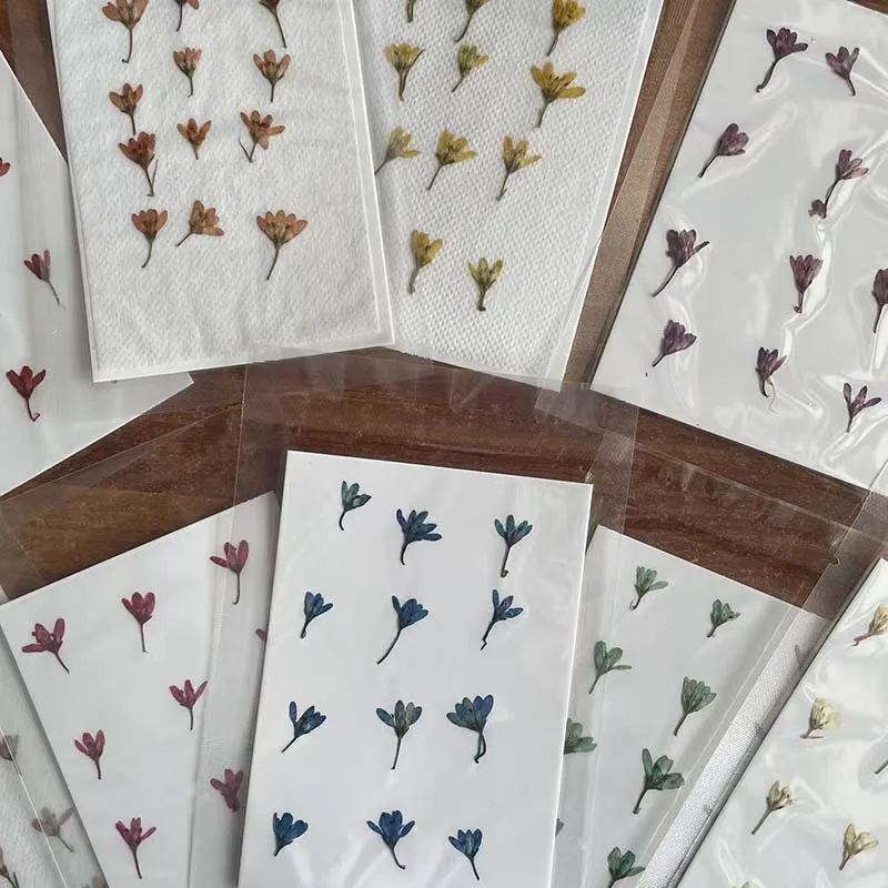 1~2CM/Decorative Real Natural Dried Pressed Speedwell Flowers,Tiny Dry Press Chloris Virgata for Epoxy Resin,Nails,Candle Making
