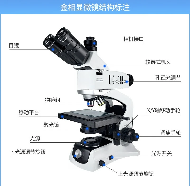 Microscope métallographique, autofocus, plaquette de poudre de qualité professionnelle