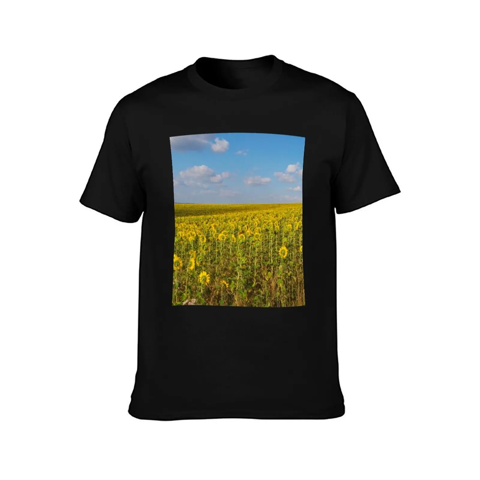 Field of Sunflowers T-Shirt, Summer Casual Cotton Tee, Oversized Streetwear Tops, Vintage Graphic Print, Loose Fit Short Sleeve