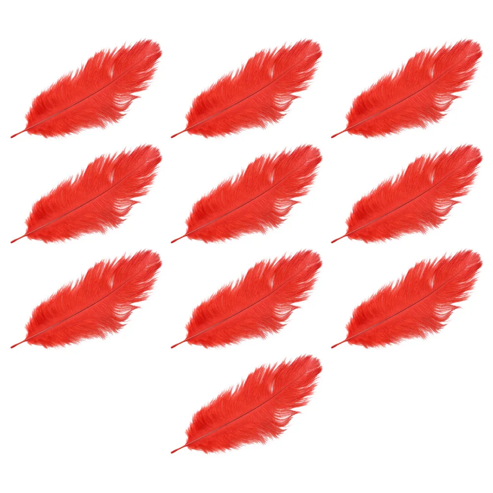 

10pcs Ostrich Decorative Natural For Diy Wedding Party Home Decoration Craft Accessories Plume Furnishing Ornament