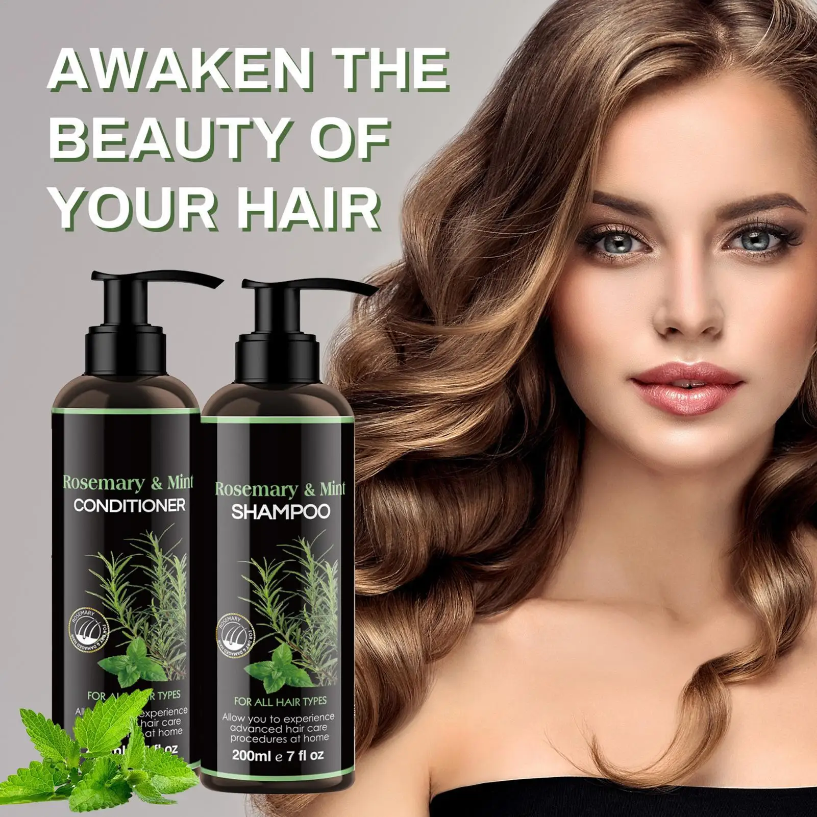Rosemary And Mint Shampoo And Conditioner Set Anti-dandruff Oil-control Shampoo Anti-Frizz Conditioner Repair Scalp Shampoo