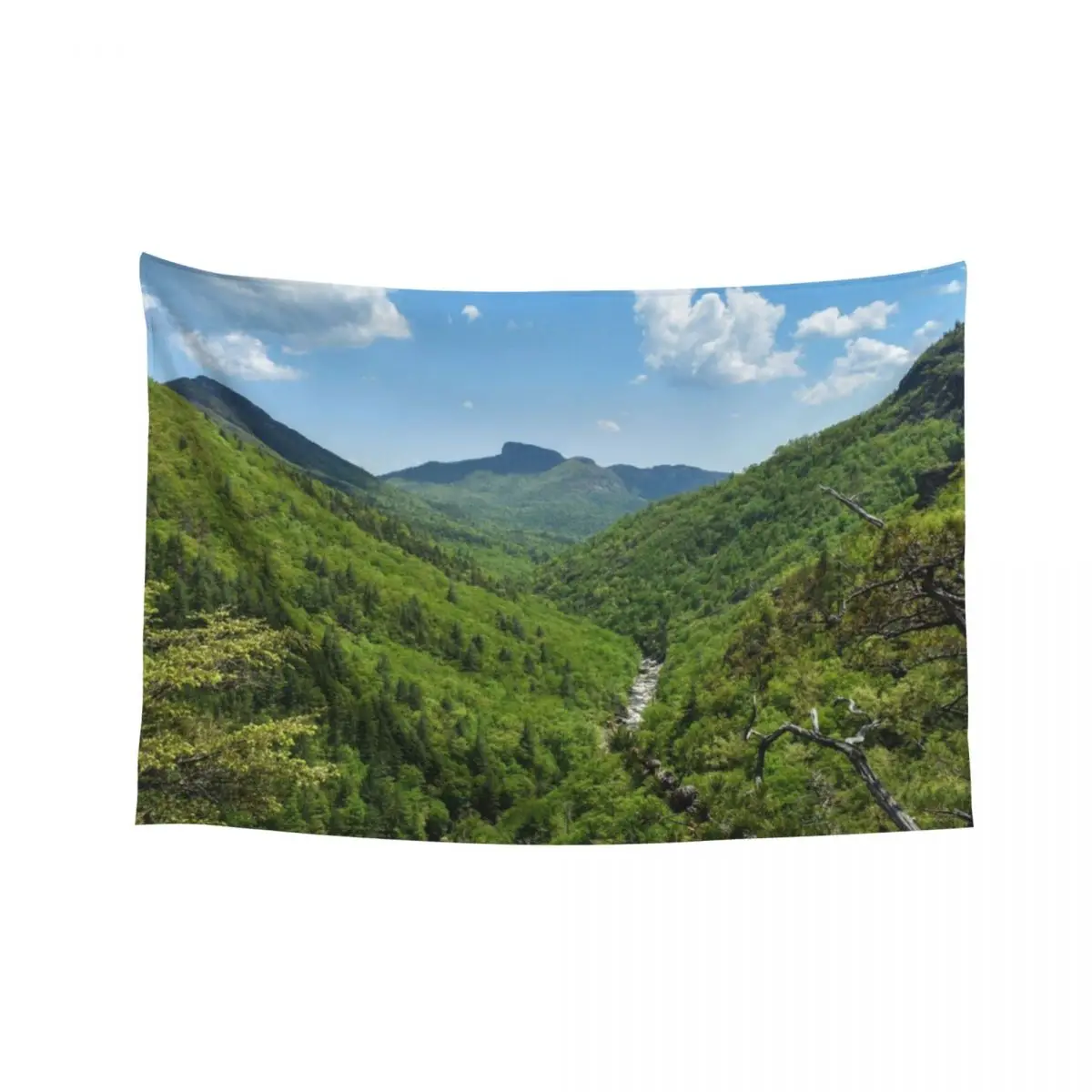 

Appalachian Mountain Valley View Tapestry Funny Decoration For Bedroom Decoration Room Home Decorating Tapestry