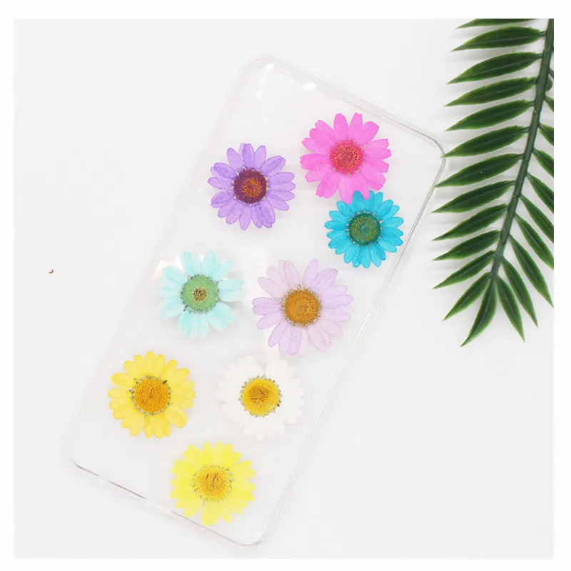 250pcs 2.5-3.5cm Pressed Dried Chrysanthemum Paludosum Flower For Jewelry Bookmark Phone Case Postcard Invitation Card DIY - Image 4