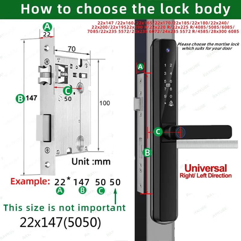 RAYKUBE DQ05 IP66 Waterproof Tuya WiFi Door Lock Aluminum Door Locks With APP Video Call Fingerprint Password IC Card Key Unlock