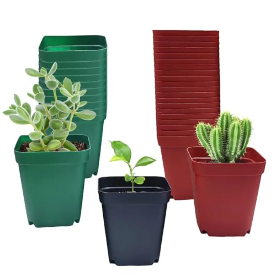 

Square Plastic Nursery Pot 3" 120 Pcs Deep Succulent Pots Small Flower Planter Seeds Starter Pots with Draage Green,,Red 0pcs E