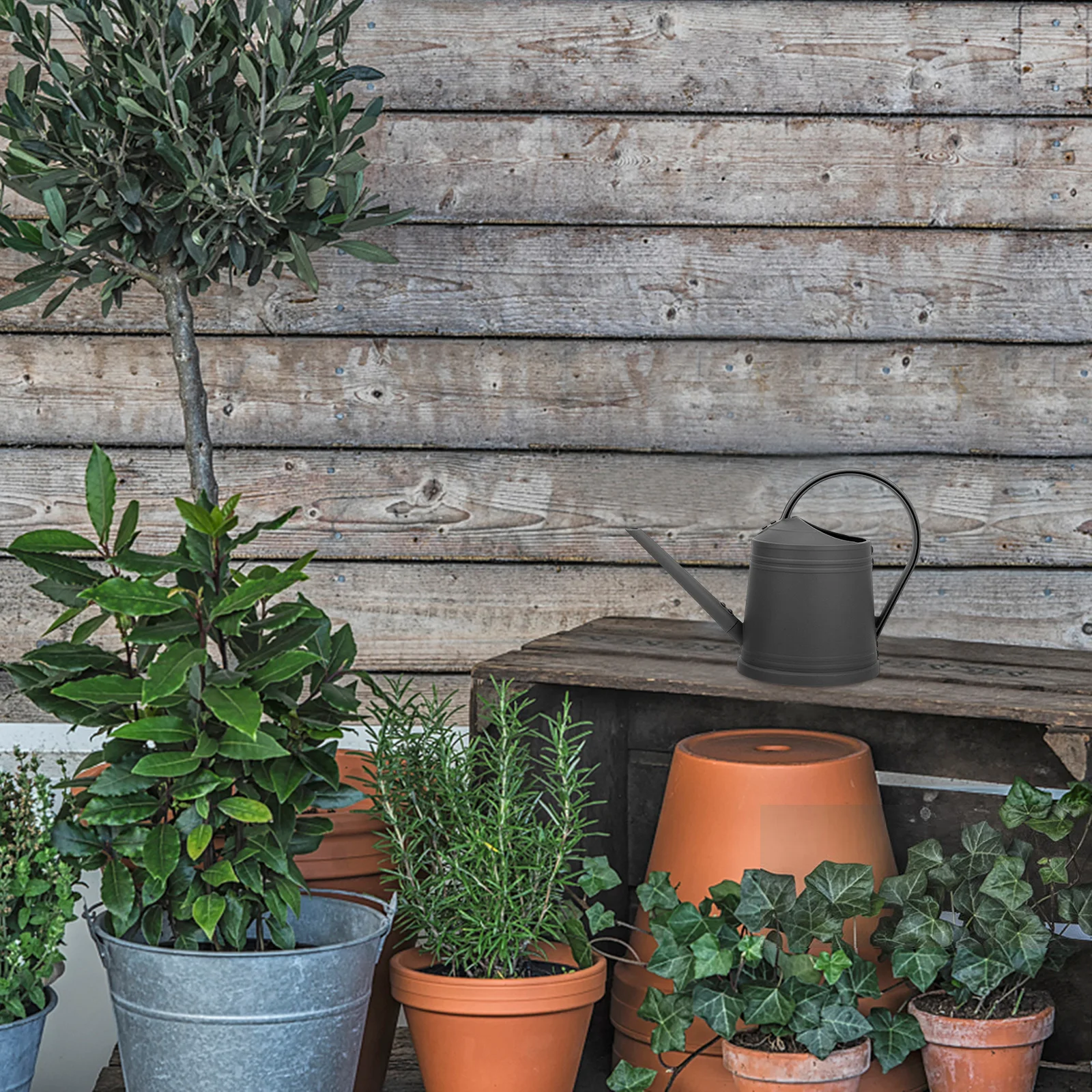 

Succulent Watering Can 1.8L Capacity Long Spout Ergonomic Design No Mess Precise Watering Indoor Outdoor Plants