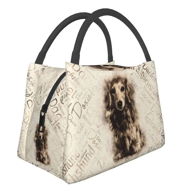 

Longhaired Dachshund Dog Insulated Lunch Bags for Women Badger Sausage Wiener Resuable Cooler Thermal Food Lunch Box Outdoor