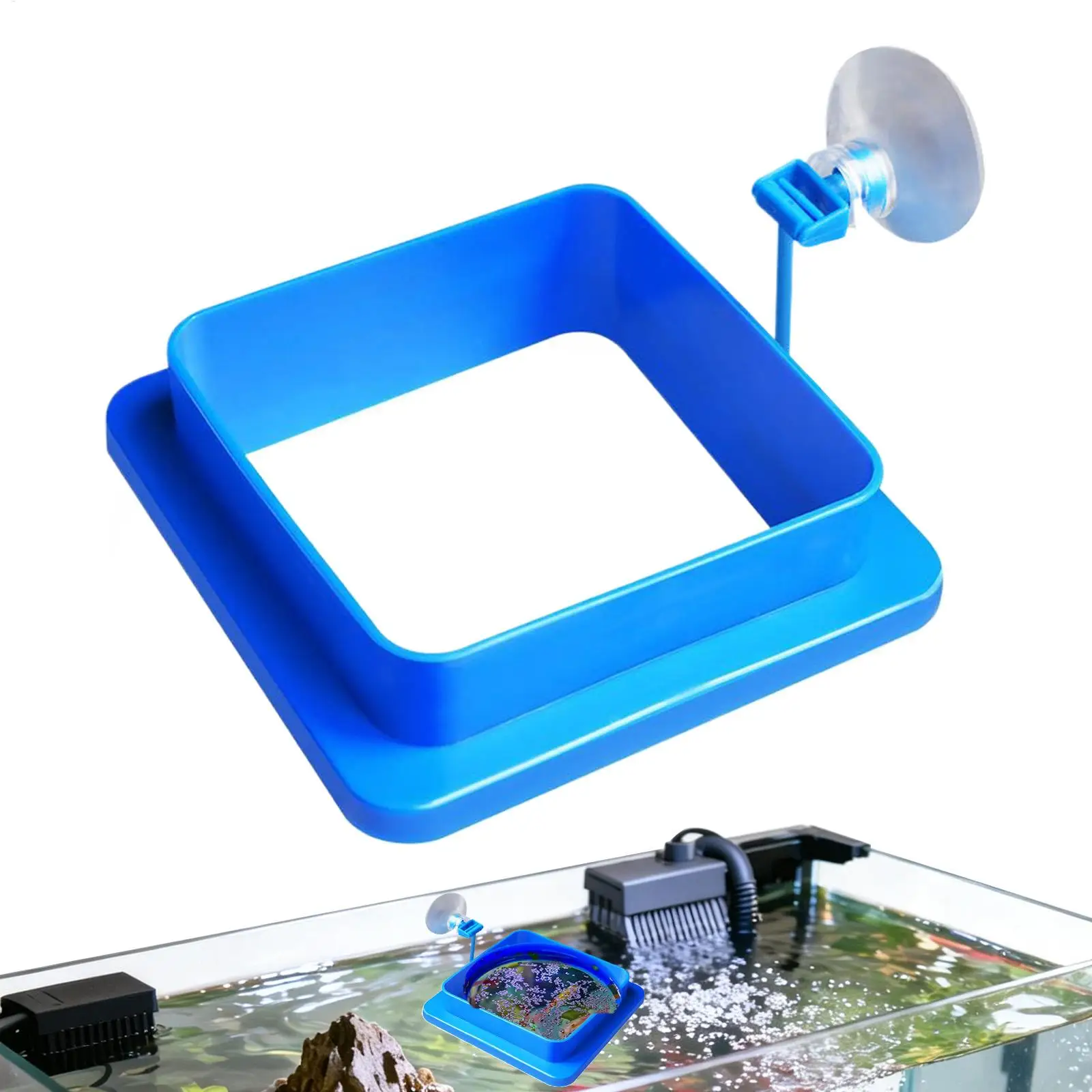 1PC Aquarium Fish Feeding Ring Fish Tank Floating Station Food Tray Feeder Prevent Food Dispersion Fish Pinch with Suction Cup