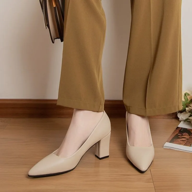 High Heels Frauen 2025, Sommer Neue Spitz Flach Mund Arbeitsschuhe Starke Ferse Mode Vielseitige High Heels