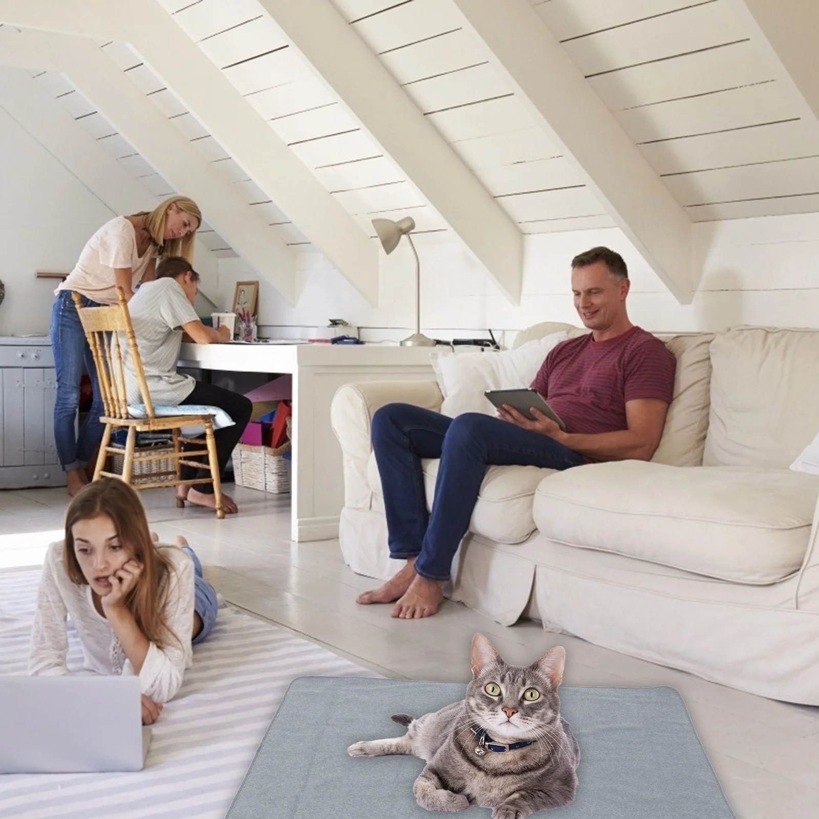 

Cabilock 1PC Mattress Protector Pet Blanket Dog Bed Fleece Floor Mat Couch Cover Waterproof Soft Pad for Dogs Cats