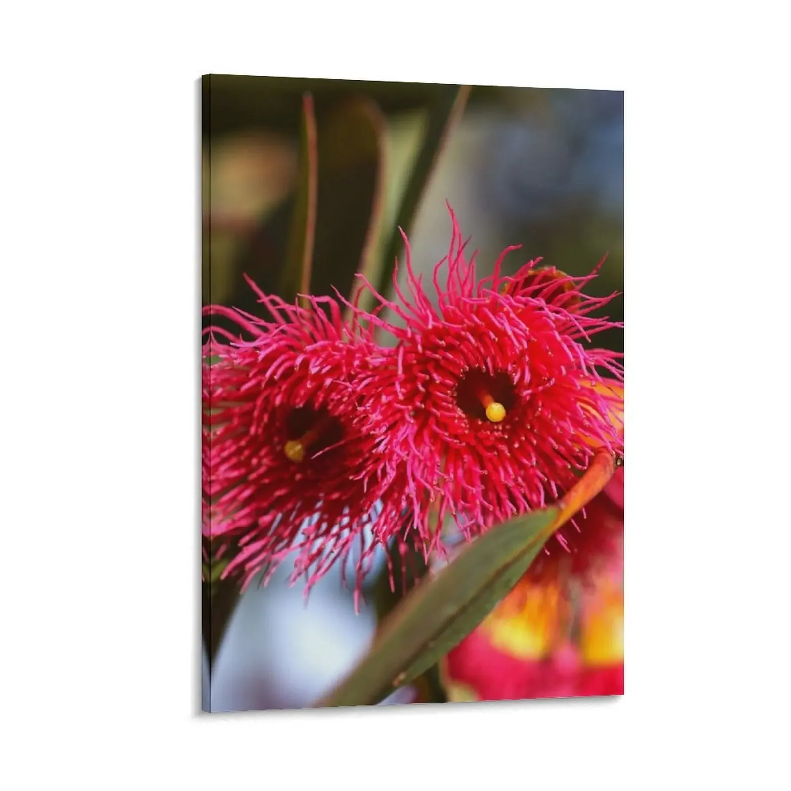 

Pink Eucalyptus Flower Duo Canvas Painting decorative pictures for the room poster anime Paintings decorative frames wall room